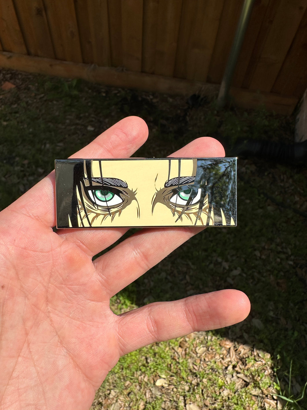 Eren Eyes